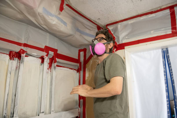 Best Commercial Mold Inspection  in Fort Llins, CO