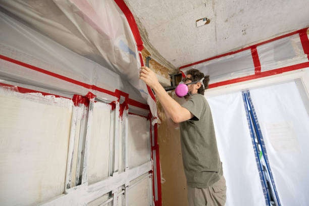 Best Mold Odor Removal Services  in Fort Llins, CO