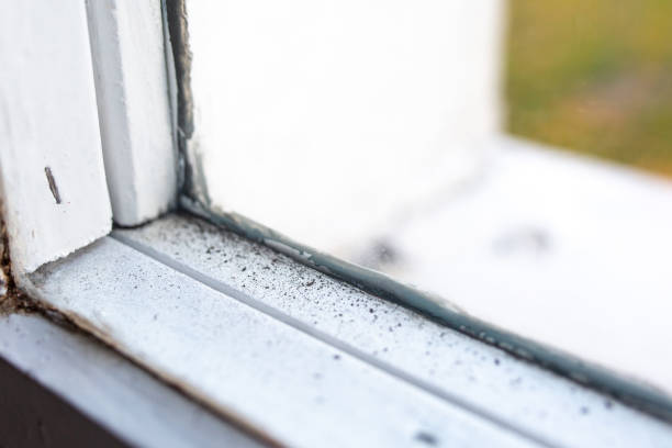 Mold Remediation for Rental Properties in Fort Collins, CO